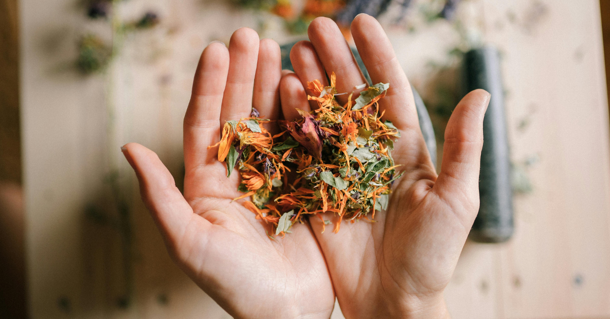 Sacred Prairie Wilds | Botanicals for Balance + Renewal
