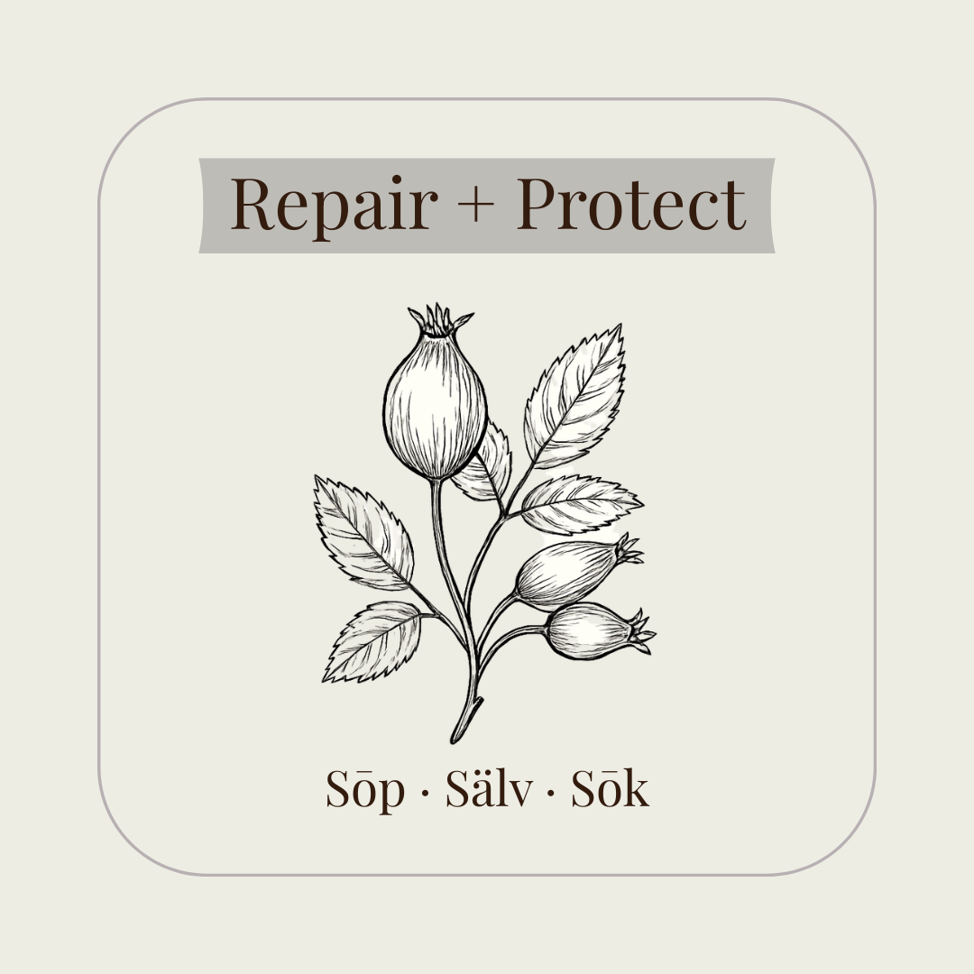Repair + Protect
