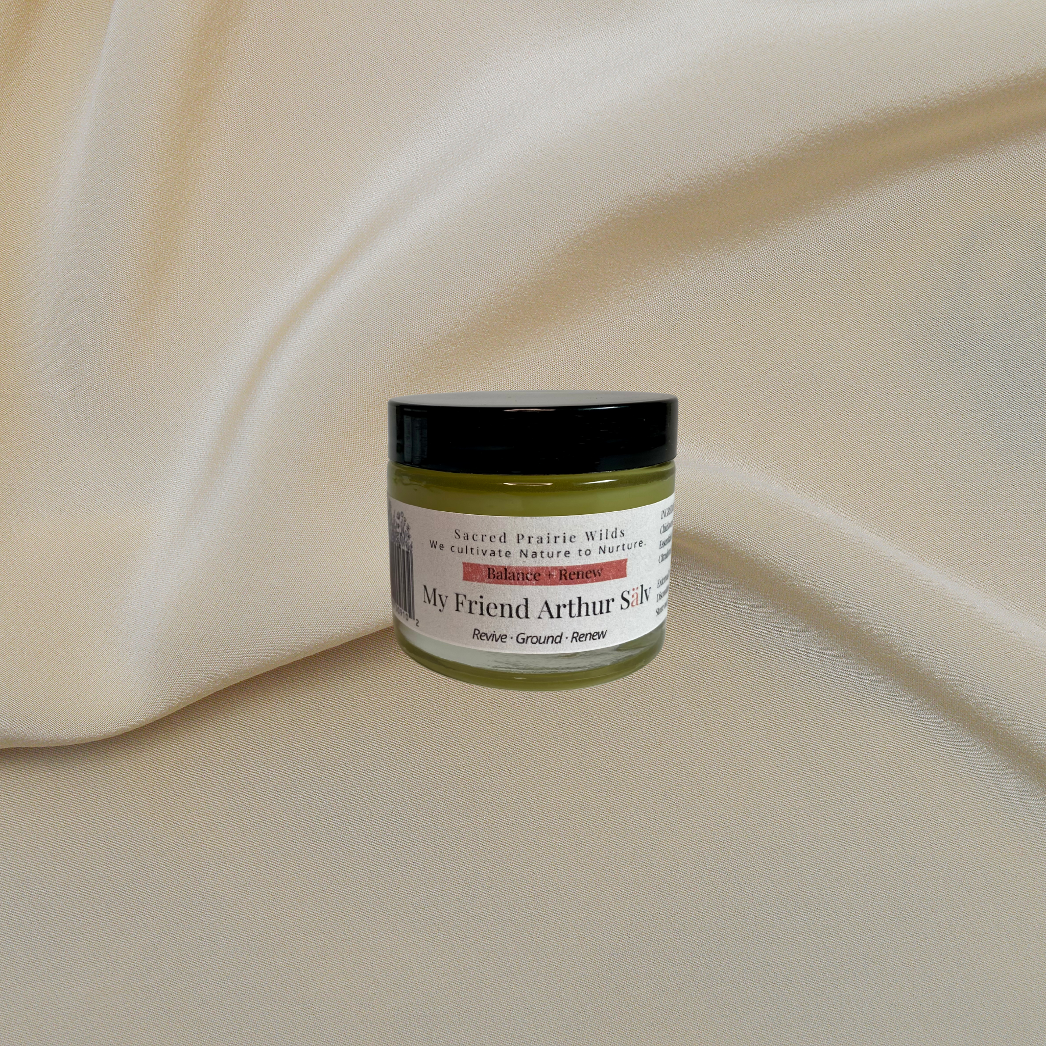 My Friend Arthur Sälv