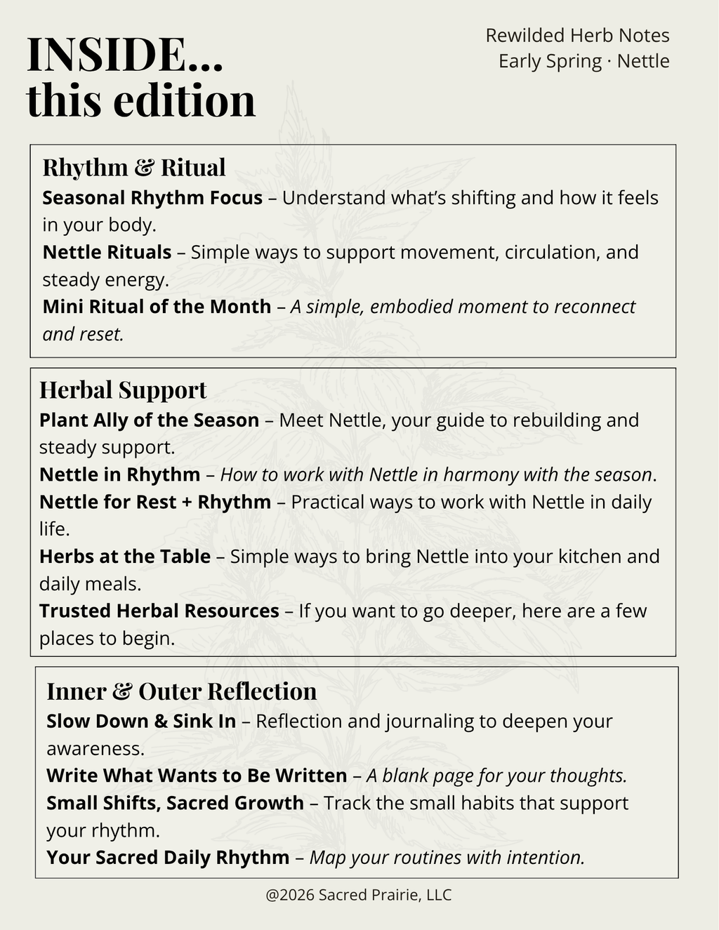 Rewilded Herb Notes: Nettle