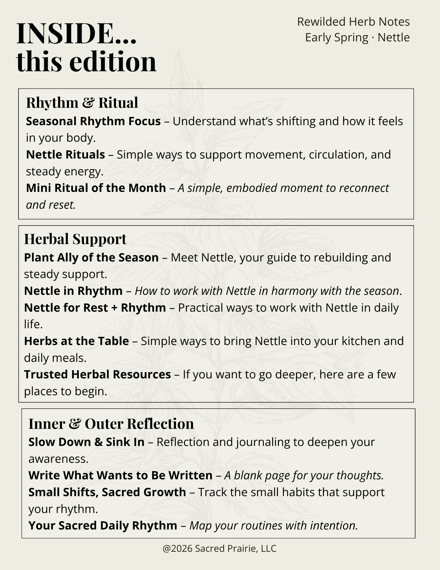 Rewilded Herb Notes: Nettle