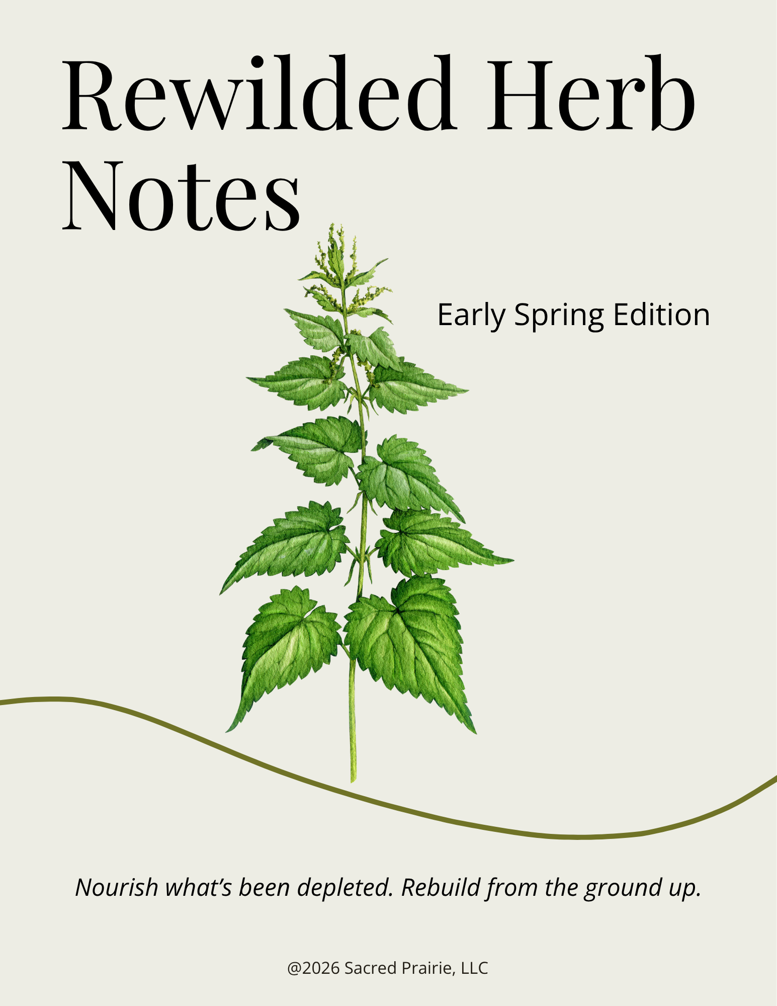 Rewilded Herb Notes: Nettle